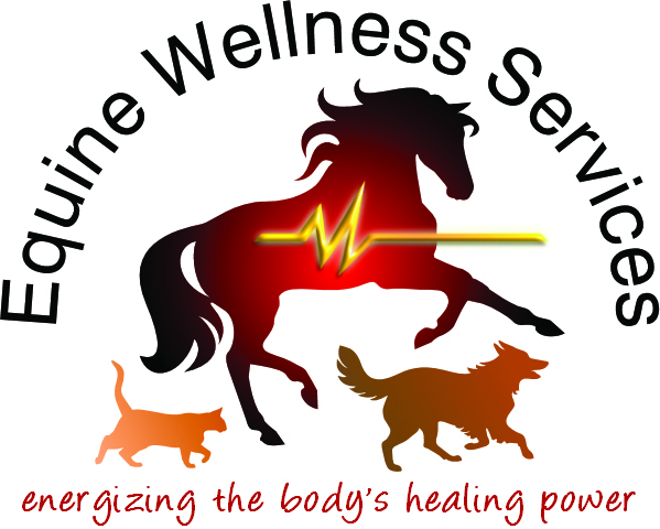 Equine Wellness Services